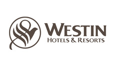 Carpentry Services in Dubai